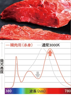 精肉用（赤身）