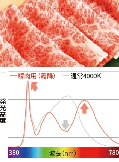 精肉用（赤身）