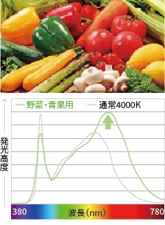 精肉用（赤身）