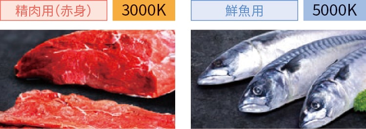 LEDスポットライト FOODEEシリーズ | 法人向けLED照明