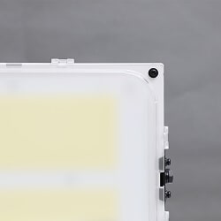 ローグレアタイプの写真