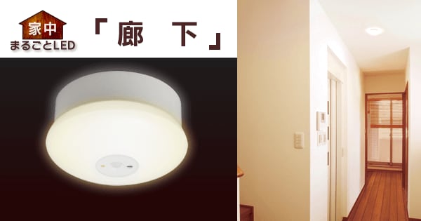 廊下 家中まるごとled Led照明 Ecohilux エコハイルクス アイリスオーヤマ 廊下 家中まるごとled Led照明 Ecohilux エコハイルクス アイリスオーヤマ