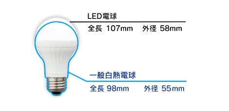一般電球との寸法比較