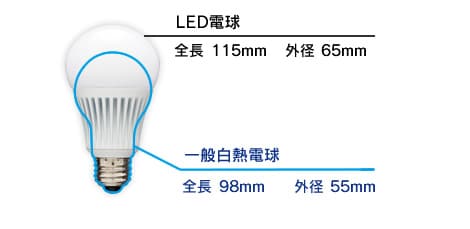 一般白熱電球との寸法比較