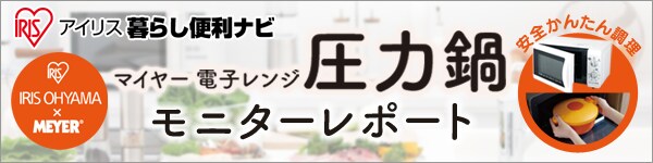 モニターレポート