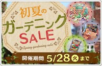 初夏のガーデニングセール