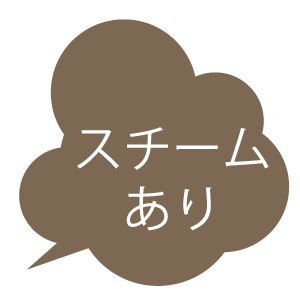 スチームあり