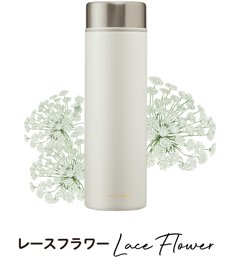 レースフラワーLace Flower