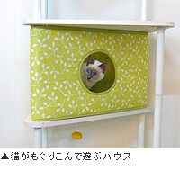 猫がもぐりこんで遊ぶハウス