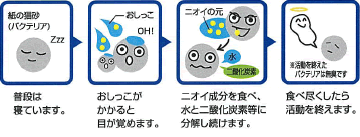 バイオ消臭のしくみ