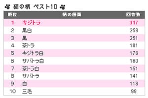 猫の国勢調査