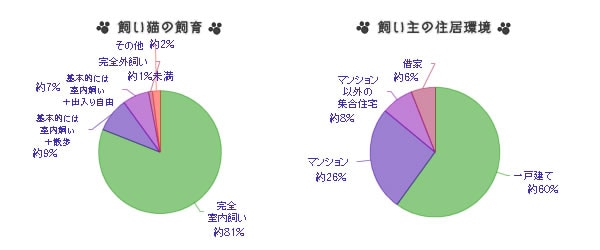 飼い猫の飼育環境について
