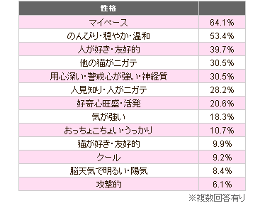 猫の性格