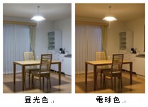 昼光色、電球色を各サイズにラインアップ