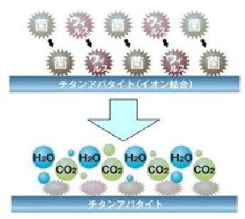 ラグの毛には光触媒チタンアパタイト※を塗布しています。