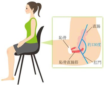 ＜洋式トイレの姿勢＞