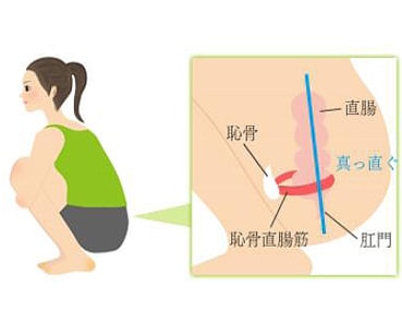 ＜和式トイレの姿勢＞