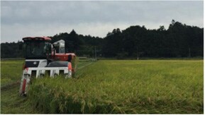 2017年10月 稲刈りを実施