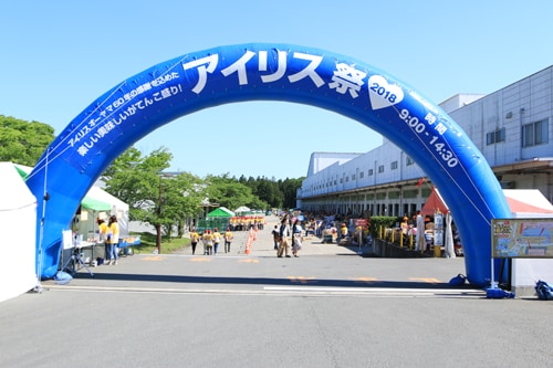 アイリス祭の様子