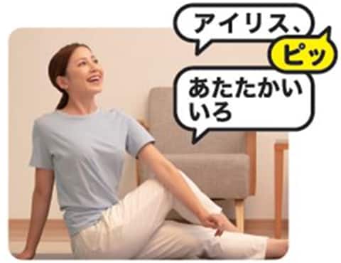 手元にリモコンがないとき