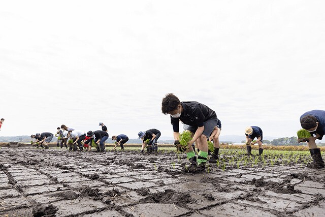 福島県浪江町にて田植えを実施