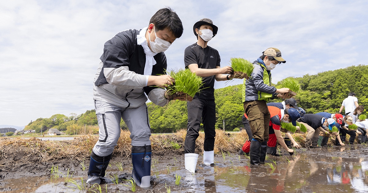 東日本大震災10年、東北農業の課題解決を目指して 福島県浪江町にて田植えを実施