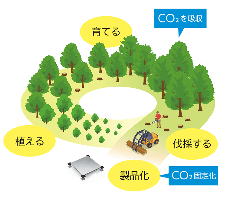 木材の活用でCO2を固定化