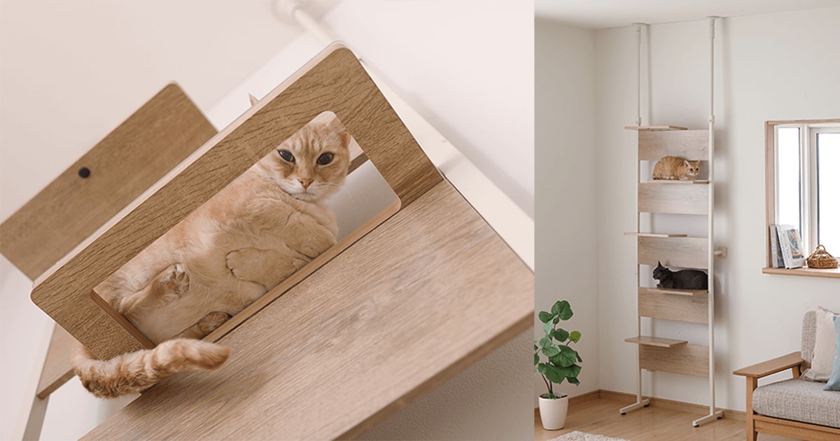 くつろぐ愛猫のおなかと肉球が丸見え 「キャットステップ」を新発売