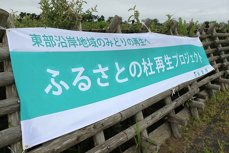 ふるさとの杜再生プロジェクト