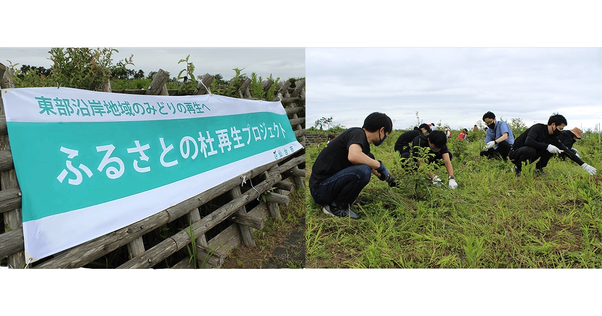 東日本大震災復興支援　東北のみどりを守る 「ふるさとの杜再生プロジェクト」育樹会に参加