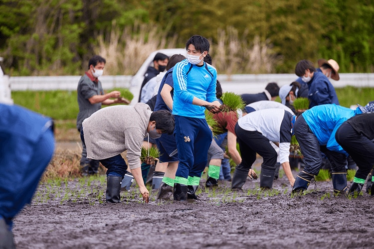 田植えの様子（2022年5月15日、福島県浪江町）