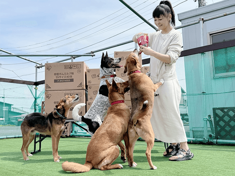 ペットフードを食べる犬の様子