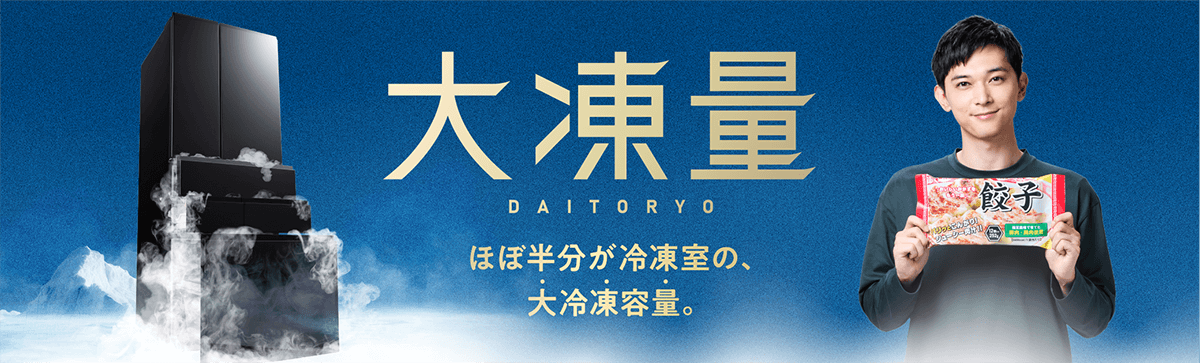 大凍量 大型冷蔵庫