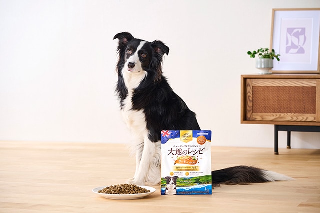 大地のレシピ 成犬用