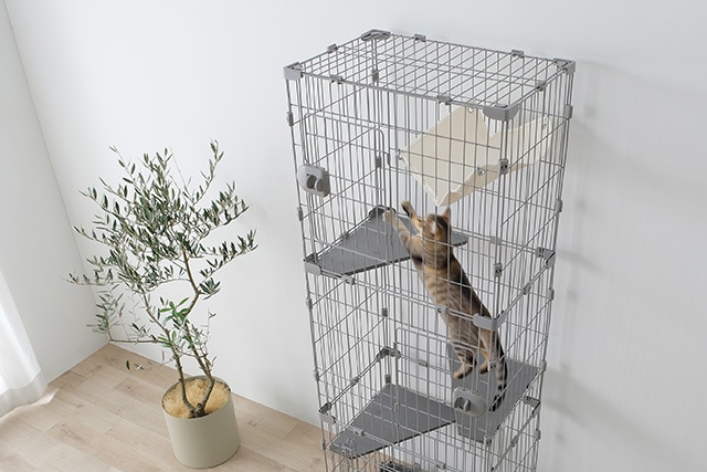 広々スリムキャットケージ　猫が上下移動できる高さ