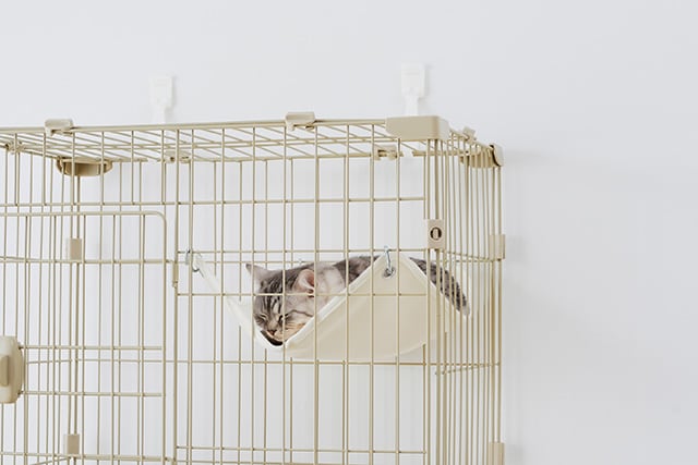 ゆったりくつろげるハンモック付き