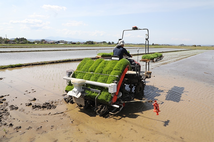 アイリスグループ、「東日本大震災から15年」を機に農業参入を決定 高齢化や担い手不足を背景に、次世代につながる農業の実現を目指す