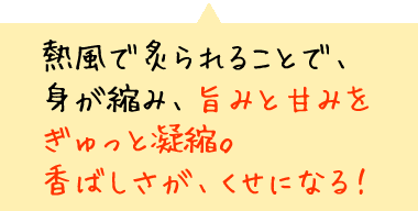熱風で炙られることで、身が縮み、旨みと甘みをぎゅっと凝縮。香ばしさが、くせになる！