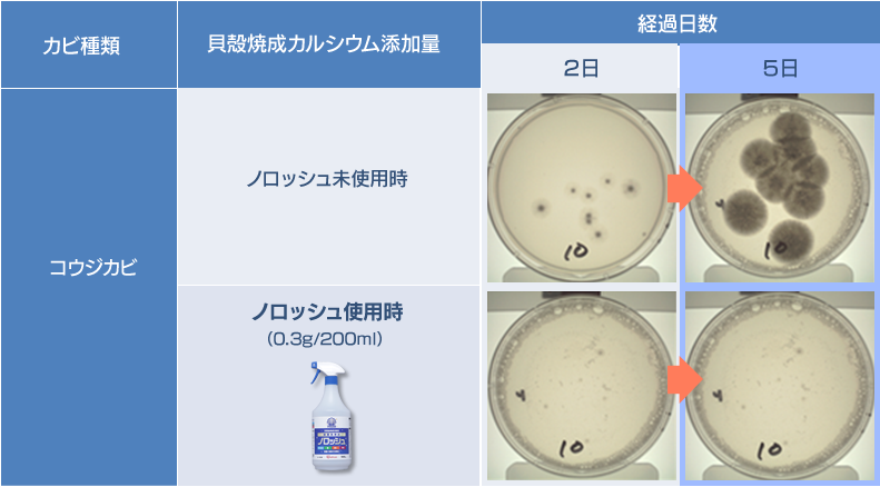 コウジカビを使用した抗カビ効果試験のグラフ