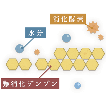 水分や消化酵素の働きを受けにくい。