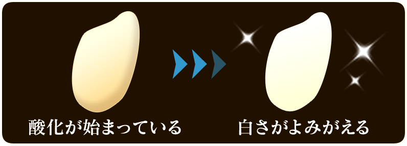 白米磨き