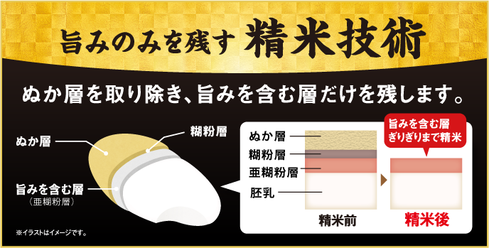 旨みを残す精米技術　ぬか層を取り除き、旨味を含む層だけを残す図解。
