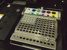 品種検査