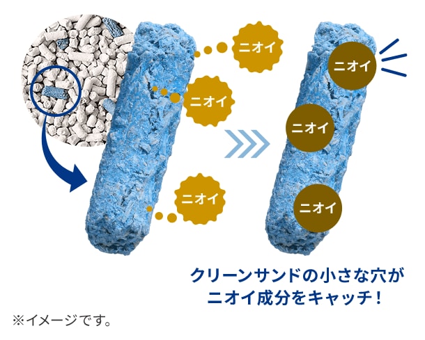 クリーンサンドの小さな穴がニオイ成分をキャッチ！