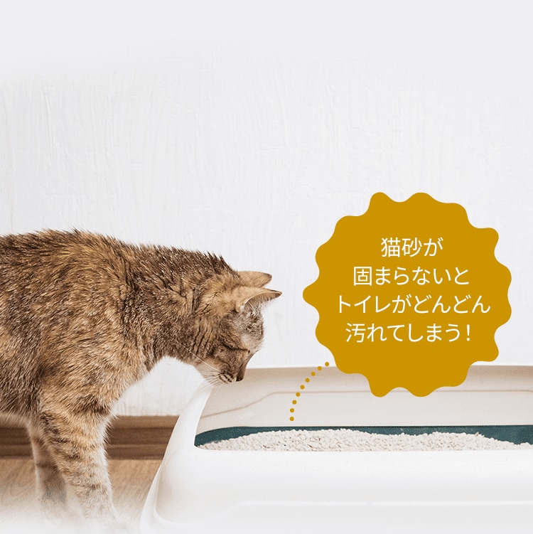 猫砂が固まらないとトイレがどんどん汚れてします！