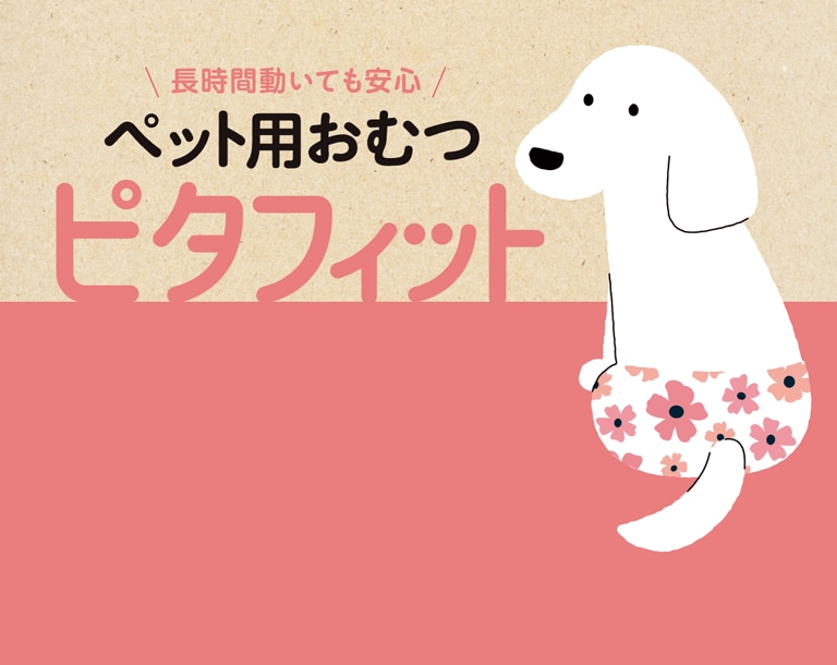 ペット用おむつピタフィット
