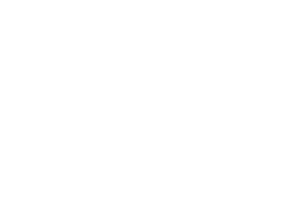 炒める時は油を引く