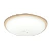 LEDシーリングライト　6～8畳用　 CL8DL-W1-T