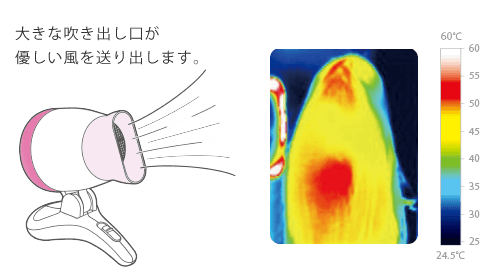 ダメージを与えにくい