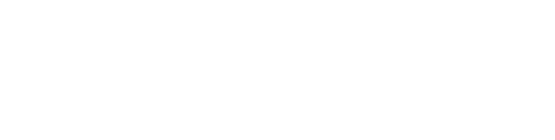 DOLBY AUDIO